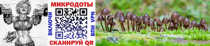 Галлюциногенные грибы GOLDEN TEACHER Выкса